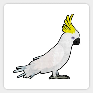 Sulphur crested cockatoo Magnet